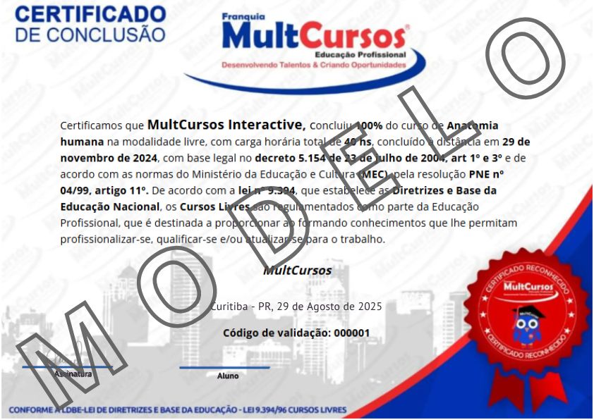 Imagem do Certificado